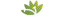 LANDART-Design, Develop, Create